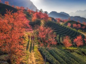 Image: TRAVEL GUIDE Sa Pa