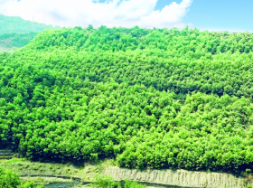 Image: Quang Ninh Province given top marks for pollution control