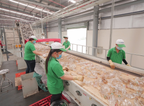 Image: The Garbage economy, what Vietnam is missing