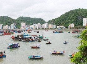 Image: Experience of going up to the forest and down to the sea on Cat Ba Island