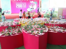 Image: World Record awarded to Đồng Tháp Lotus Festival