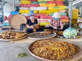 Image: Bike tours worth experiencing in Ho Chi Minh City