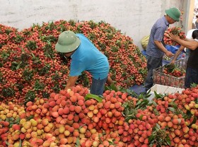 Image: Seeking solutions to promote fruit consumption