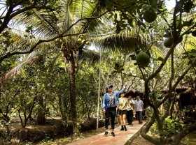 Image: Discovering the fruit paradise of Bến Tre