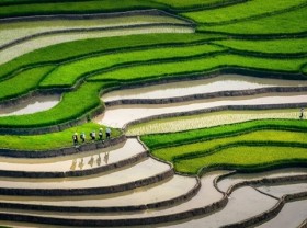Image: Discovering the peaceful beauty of Lìm Mông Village