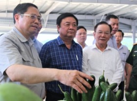 Image: Agricultural exports aim to reach USD 55 billion