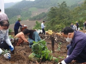 Image: Building forestry a spearhead economic sector