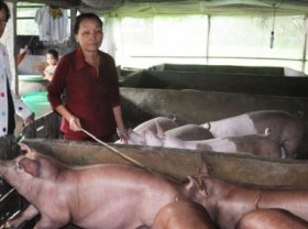 Image: Efforts to transform agriculture and integrate into the ASEAN market