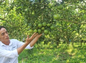 Image: Positive signs for organic farming