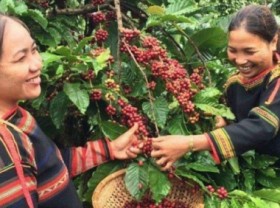 Image: Support Vietnam in sustainable landscape management