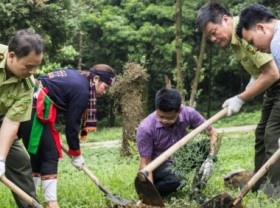 Image: Vietnam - a ‘bright star’ in combating land degradation