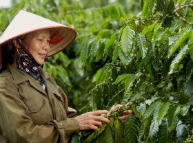 Image: Vietnam can become a global production center of packaged food