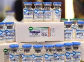 Image: Vietnam officially announces successful production of a vaccine against African Swine Fever