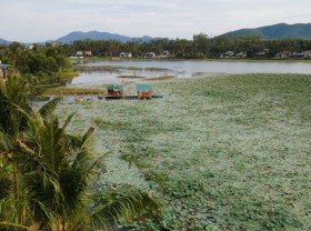 Image: Three specialties of Binh Dinh coconut land
