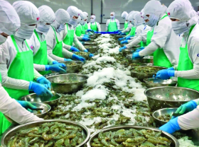 Image: Government adopts strategy to improve export-import growth quality