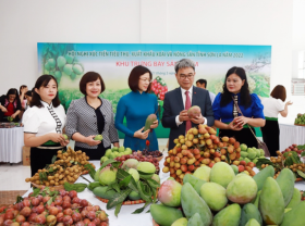 Image: MoIT plays important role in supply-demand connections