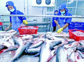Image: Vietnamese tra fish exports surge, especially to Nordic markets