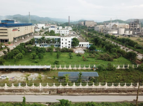 Image: Vimico raises environmental awareness