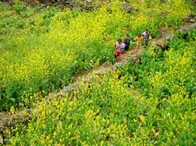 Image: Ha Giang 2022 travel experience from A to Z: moving, staying, dining, specialties…