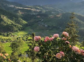 Image: Is the Sau Chua village the muse of Sapa, but why is it so beautiful and captivating! 