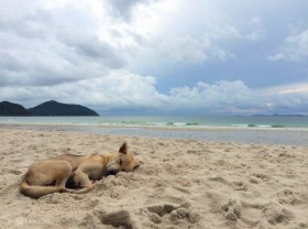Image: Quan Lan Island Travel Guide 2022 from A-Z: accommodation, dining, specialties… the latest