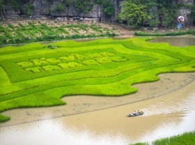 Image: Trang An Scenic Landscape Complex: A perfect getaway for summer holiday in northern Vietnam