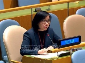 Image: Vietnam pledges to effectively manage small arms, light weapons