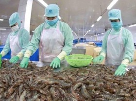 Image: Aquatic exports spike 40% in H1