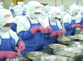 Image: 11 key objectives for the shrimp industry in second half of the year