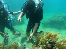 Image: Joint efforts to protect marine ecology and aquatic resources