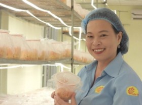 Image: OCOP in Tien Giang: Cordyceps' journey to achieving 4-star OCOP