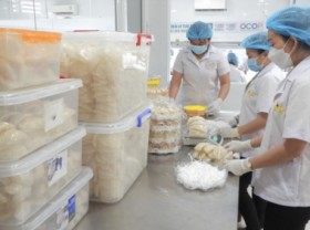 Image: OCOP in Tien Giang: eighteen 4-star OCOP bird's nest products