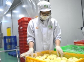 Image: Professionalize production for official export of durian to China