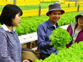 Image: The farm of a ‘VND 600 billion farmer’