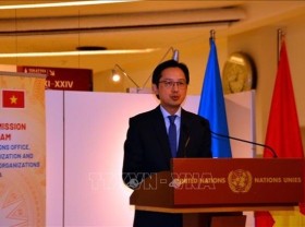 Image: Vietnam contributes to UN Human Rights Council with meaningful messages: official