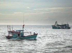 Image: Vietnam ready to cooperate and share experience in combating illegal fishing: spokesperson