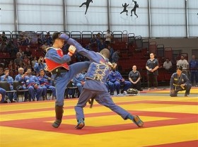 Image: Vietnam wins three gold medals at 6th world vovinam championship