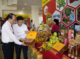 Image: Bac Giang lychees go global