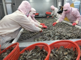 Image: UK trade pact benefits Vietnam