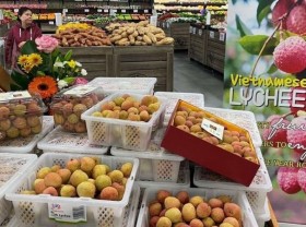 Image: Vietnam, Australia post record high in two-way trade