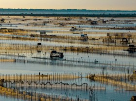 Image: Experience a gorgeous sunrise on Chuon Lagoon in central Vietnam