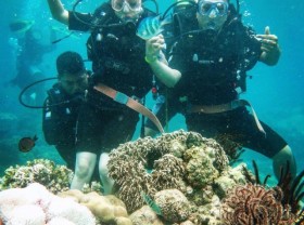 Image: Have fun with the island experiences in Vietnam  
