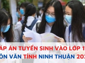 Image: The quickest and most correct replace of the solutions to the Literature examination within the tenth grade in 2022, Ninh Thuan province