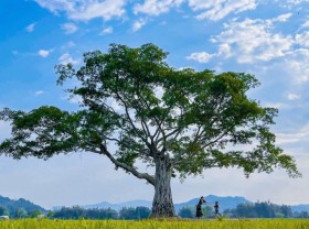 Image: What to explore in Vietnam’s coffee paradise