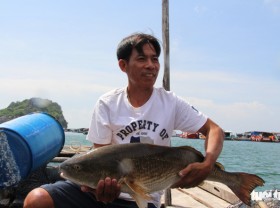 Image: Visit Mekong Delta’s Nghe island to experience fish cage farming
