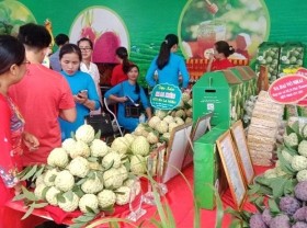 Image: Thai Nguyen promotes consumption of sugar apples and local agricultural products