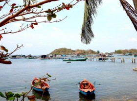 Image: Catch sea urchin and eat it on the spot in the Pirate Islands