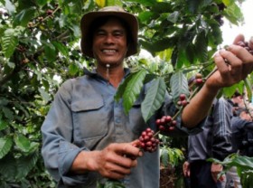 Image: Emission-reducing coffee production: Avoid inactivity
