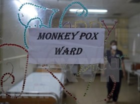 Image: Indian scientists helps build capacity for Vietnam on monkeypox control