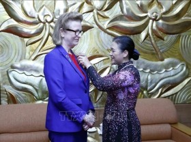 Image: Insignia presented to UNDP Resident Representative in Vietnam